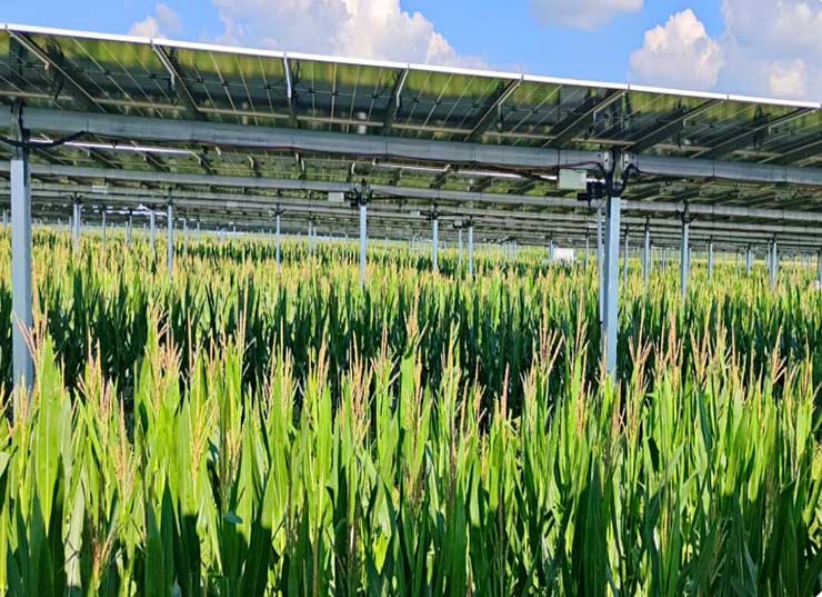 พลังงานแสงอาทิตย์