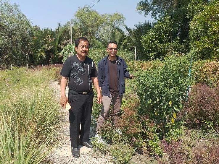 ร้านข้าวใหม่ปลามัน อัมพวา