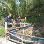 ร้านข้าวใหม่ปลามันอัมพวา