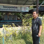 ร้านข้าวใหม่ปลามันอัมพวา