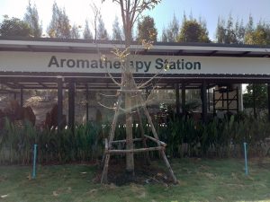 ศูนย์เรียนรู้เชิงเกษตรและสุขภาพ