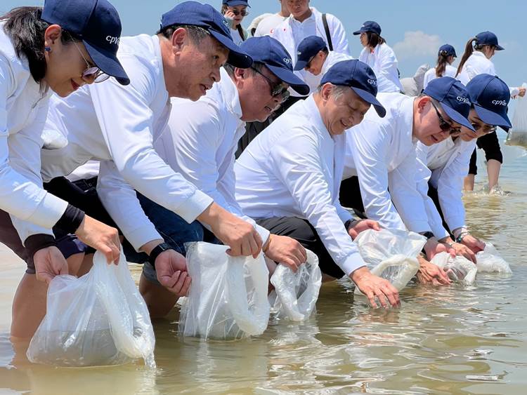 ซีพีแรม ปล่อยปูม้าสะสม 1.8 ล้านตัว สานต่อ “ปูม้ายั่งยืน” เร่งสมดุลอาหาร คู่ตรึงราคาอาหารสู้ต้นทุนพลังงาน