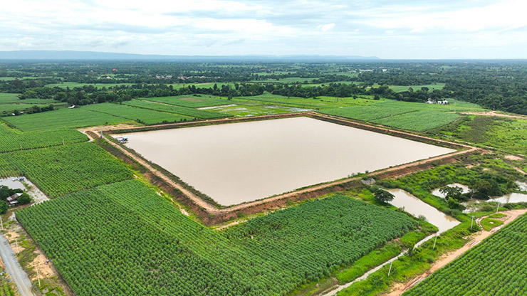 กลุ่มมิตรผล