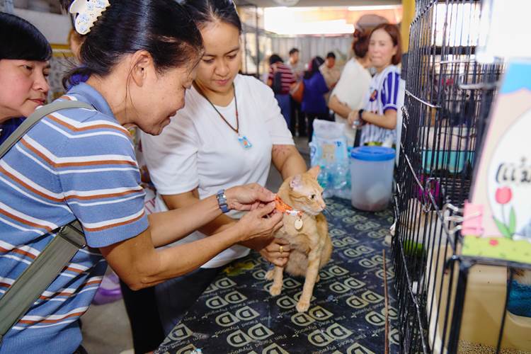 วิถีไทยไร้พลาสติก – Thai Way Says No to Plastic