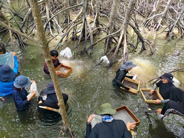 ทุนธรรมชาติ