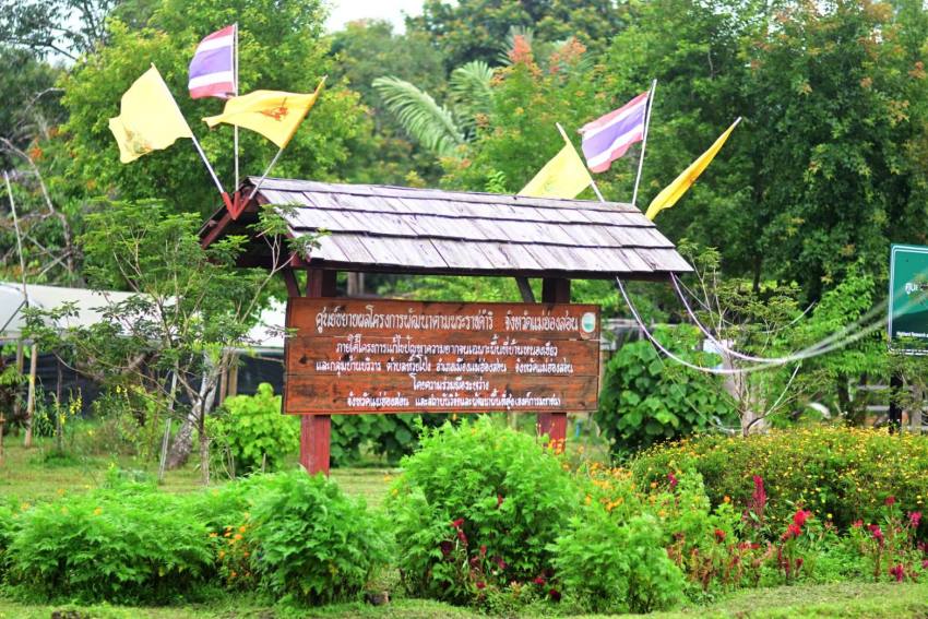 สวพส. ขยายผลองค์ความรู้โครงการหลวง พลิกบ้านหนองเขียวสู่ต้นแบบเกษตรอินทรีย์แปลงใหญ่บนพื้นที่สูง