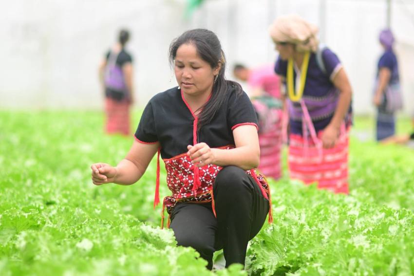 รวีวรรณ ชลธารเสาวรส