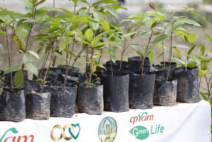 CPRAM Green Life