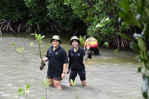 EXAT Let’s Grow Green
