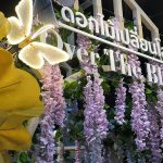 อกไม้เปลี่ยนโลก : Over The Bloom