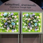 อกไม้เปลี่ยนโลก : Over The Bloom